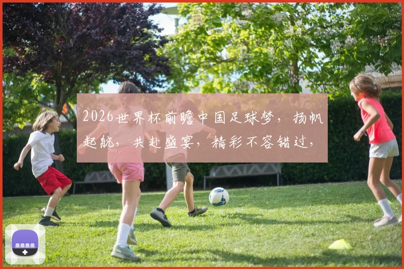 2026世界杯前瞻中国足球梦，扬帆起航，共赴盛宴，精彩不容错过，激情燃动全球