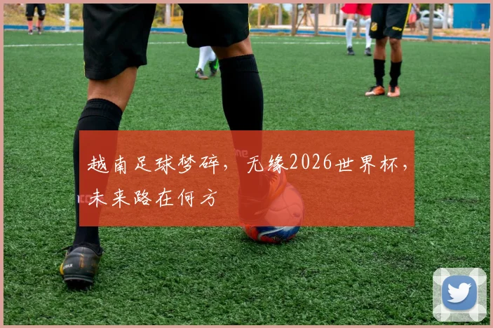 越南足球梦碎，无缘2026世界杯，未来路在何方