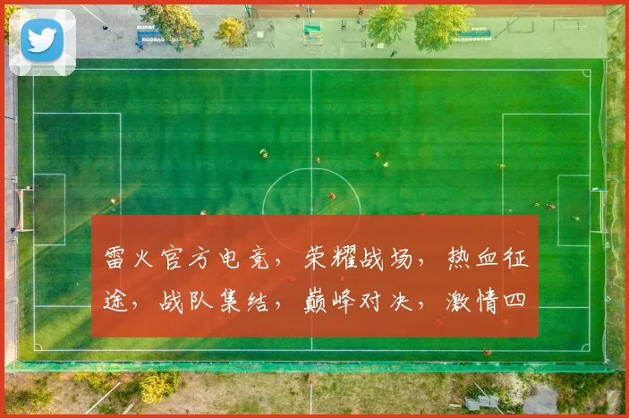雷火官方电竞，荣耀战场，热血征途，战队集结，巅峰对决，激情四溢