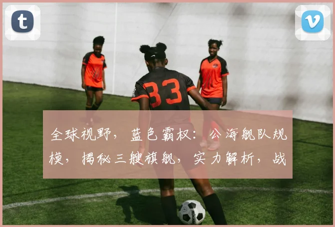 全球视野，蓝色霸权：公海舰队规模，揭秘三艘旗舰，实力解析，战略布局