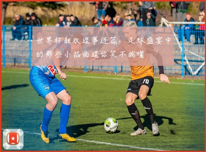 世界杯狂欢逗事连篇，足球盛宴中的那些小插曲逗你笑不拢嘴