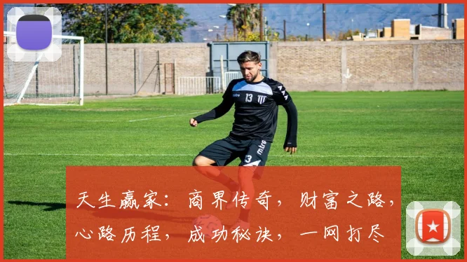 天生赢家：商界传奇，财富之路，心路历程，成功秘诀，一网打尽
