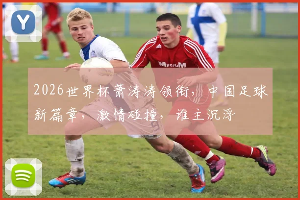 2026世界杯萧涛涛领衔，中国足球新篇章，激情碰撞，谁主沉浮