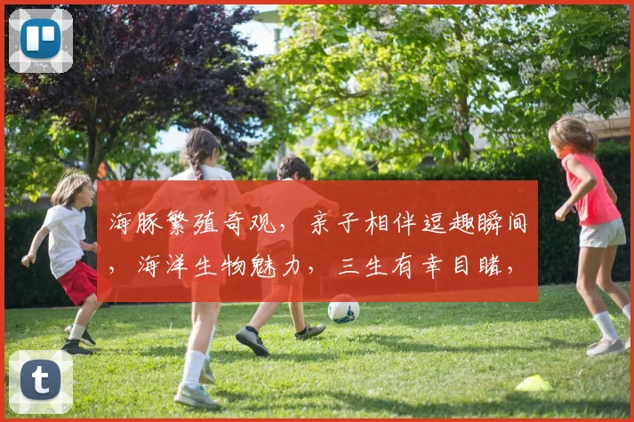海豚繁殖奇观，亲子相伴逗趣瞬间，海洋生物魅力，三生有幸目睹，